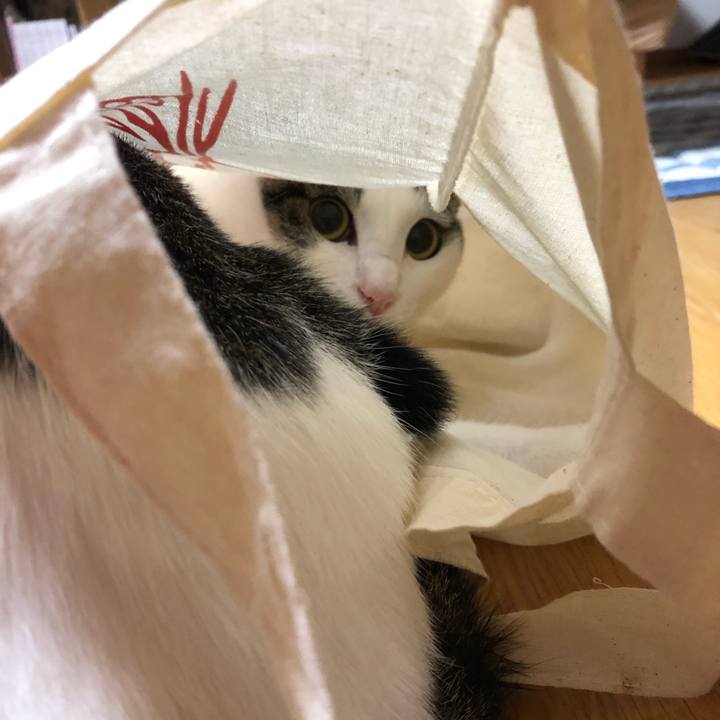 78e49668 18da 4f5e bcef d2ee5d22b989 1593697370373