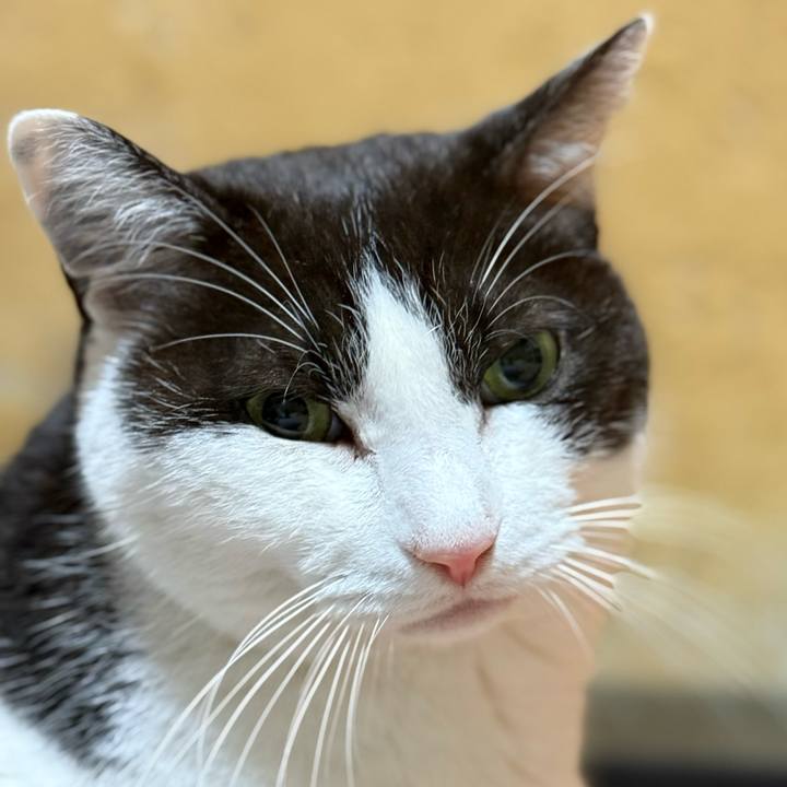 78e4e3b7 91e5 4d58 bea1 20a3d0530293 1744075805013