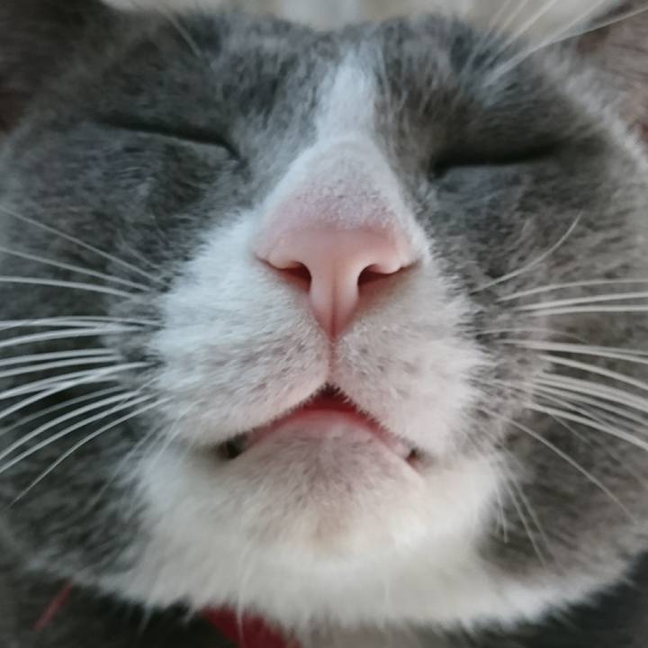 78e50db0 26fa 43b4 91eb 98c459e1ff15 1515984907684