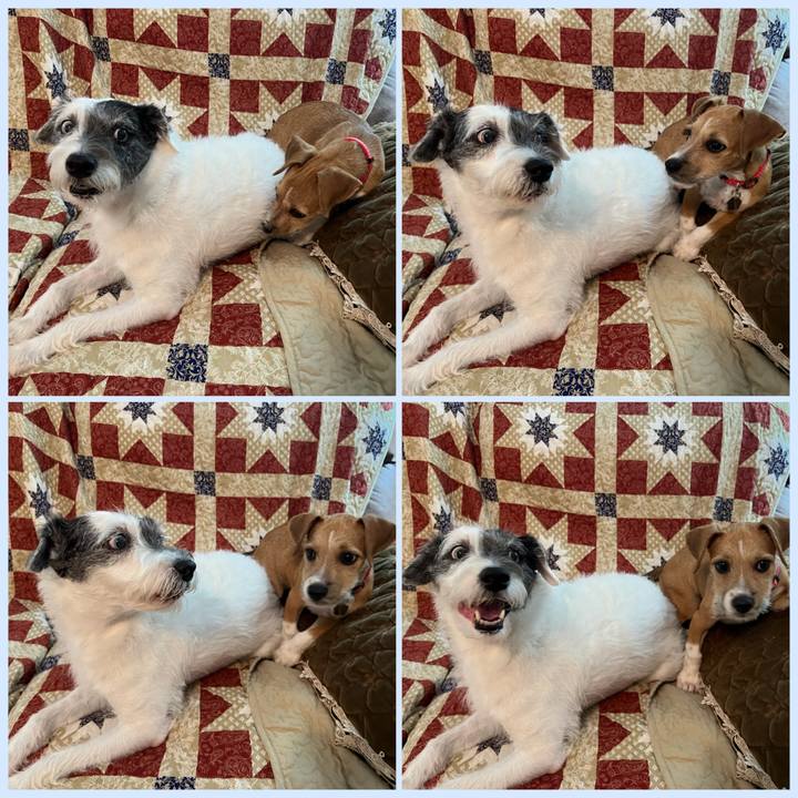 78e51784 5893 44e4 b264 0a264d5237bb 1662501370865