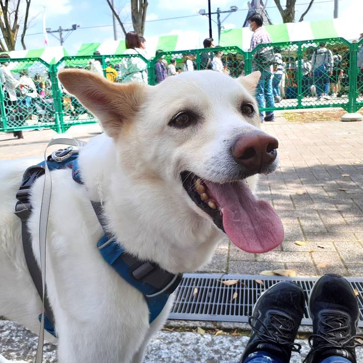 78e584f6 ec61 4509 8a16 9368ce9f42d3 1649486633152