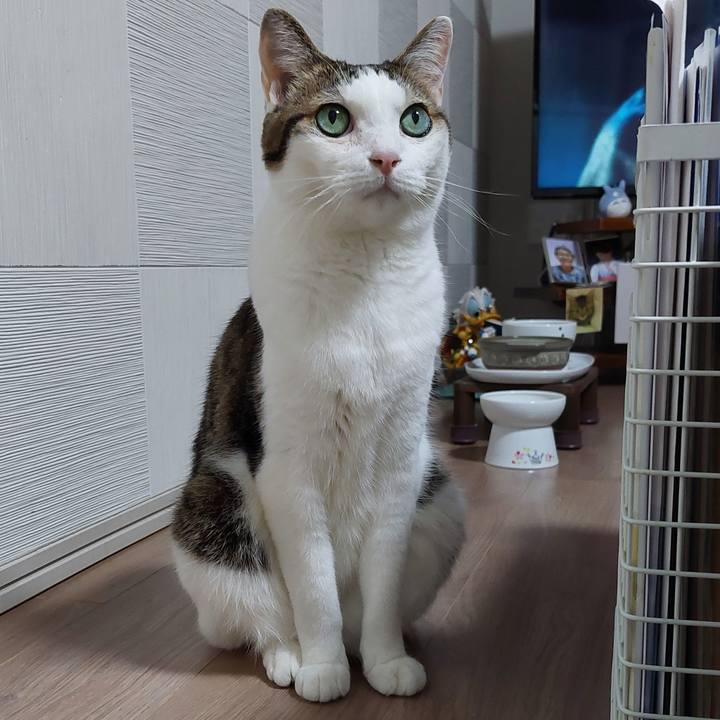 78e59fd5 ed26 4712 aca1 deb7b1ab4631 1754481288236