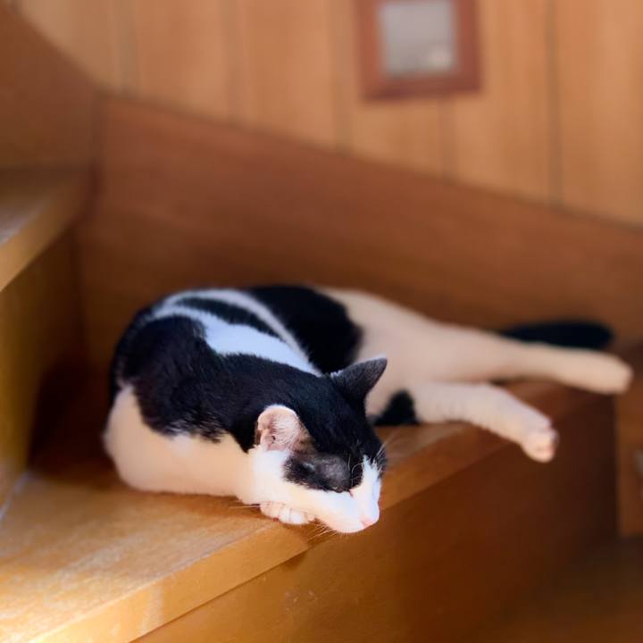 78e5b6d1 f79f 4914 8eba d5e0f9cc8eaf 1594952831768