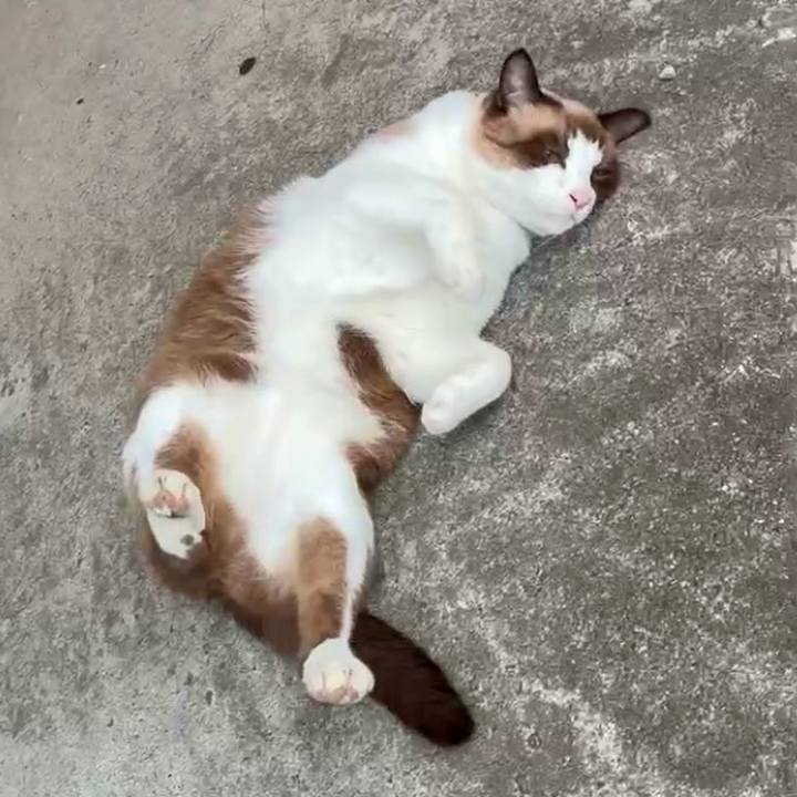 78e60bbf 864c 4478 8910 b91f59d7e7ba 1761809901403