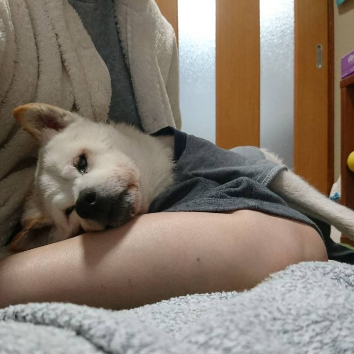 78e66c0e a5d8 41d1 9be6 c2924ee0b61f 1539391065155