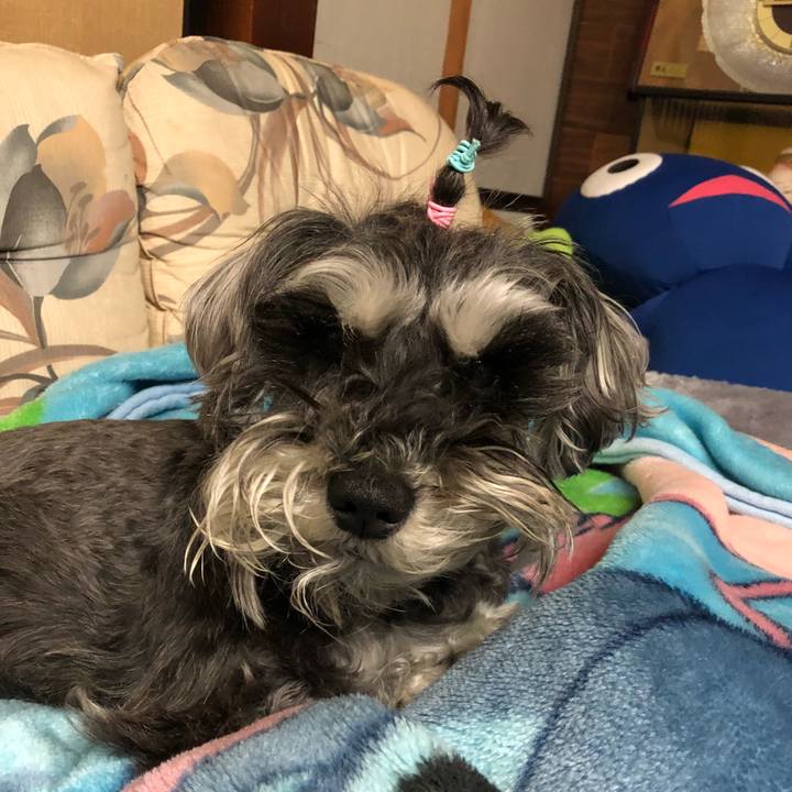 78e67e7e 90ea 4683 8f09 01299fb26e44 1527342269813