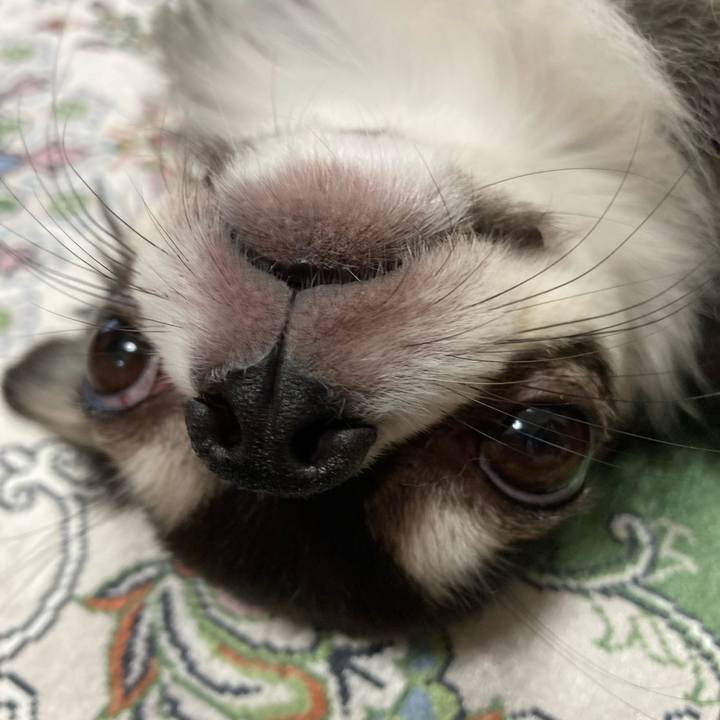 78e6a0e7 a7b5 43a4 a922 7a894f7e40aa 1664019419667