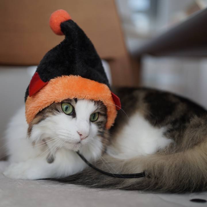 78e6a42b 3893 4d41 961d c073e0f0bc18 1604140614717