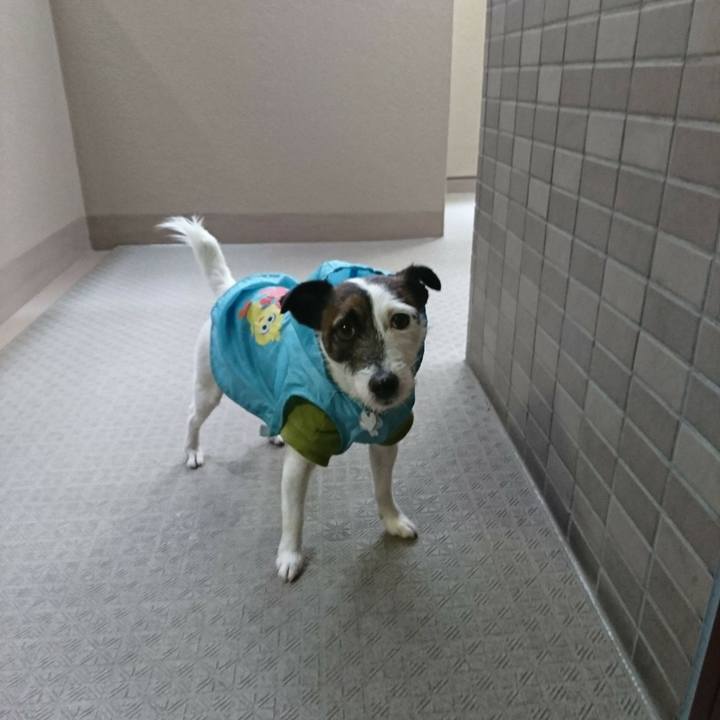 78e6b22d 3434 4a6e befe 7c51f22ddf25 1521498044081