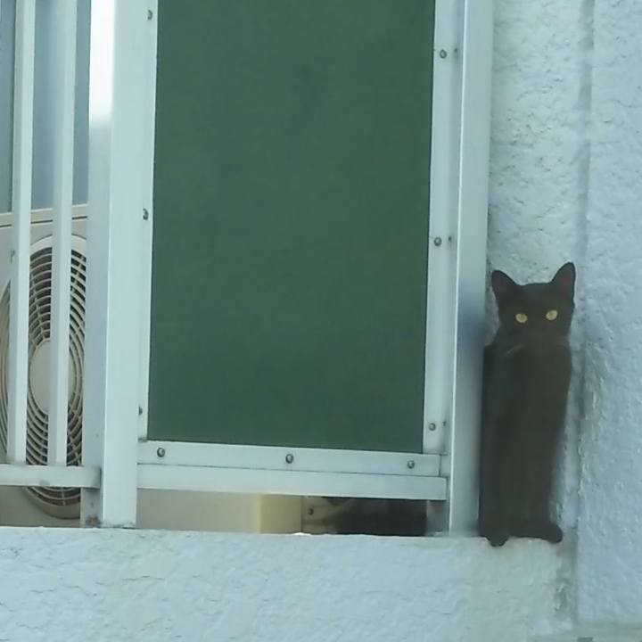 78e6c973 e2f2 48e0 a350 a032024702cd 1567985133325