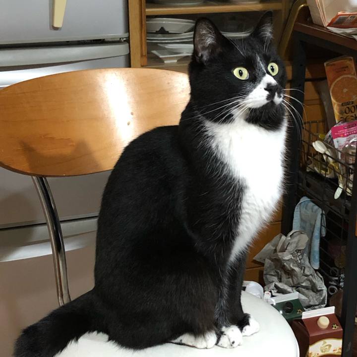 78e7527b fd24 40a3 96cd 7358ace26af3 1585712595290