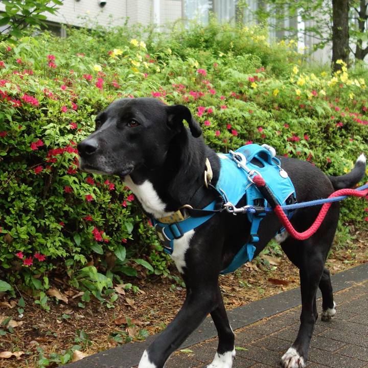 78e752bc 525b 4f6a 824b 3b186375db11 1618619386668