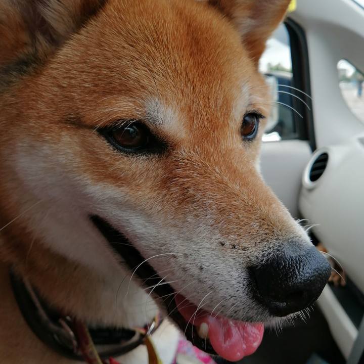 78e76c5f 7163 4094 801c 629191c850ff 1595384564135