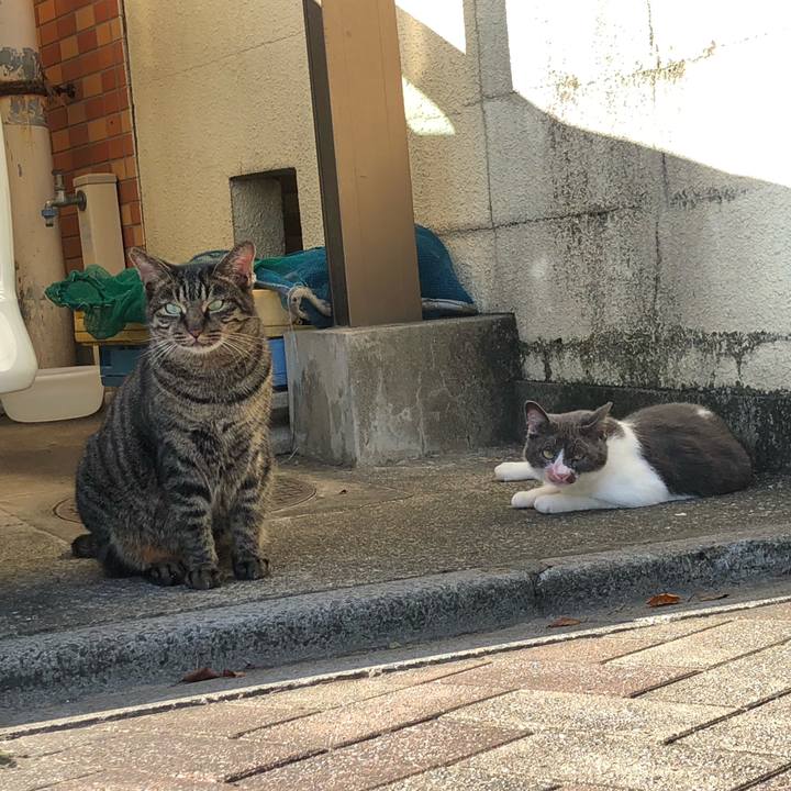 78e77673 1793 43e5 8771 788bf02cc261 1601364830793