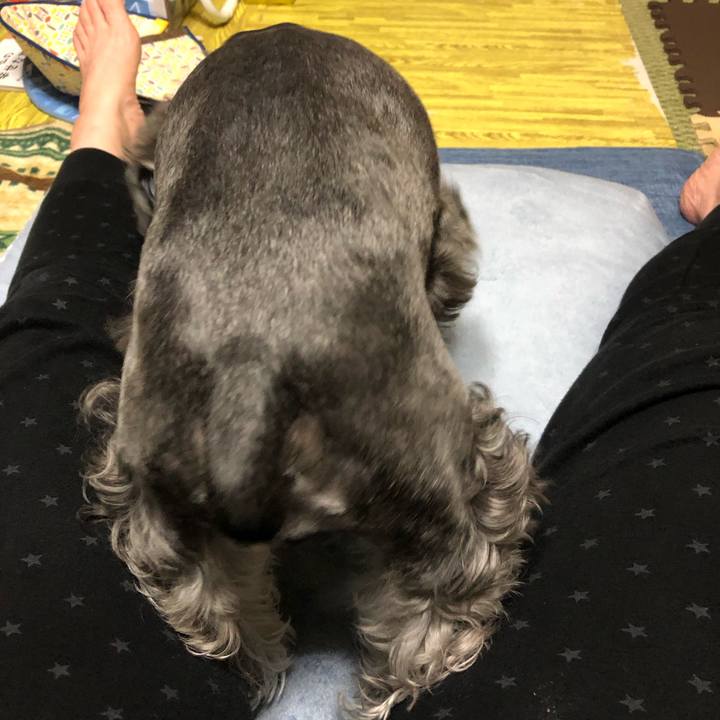 78e79d00 e327 4ce7 a670 d687b0a0be4d 1686573524028