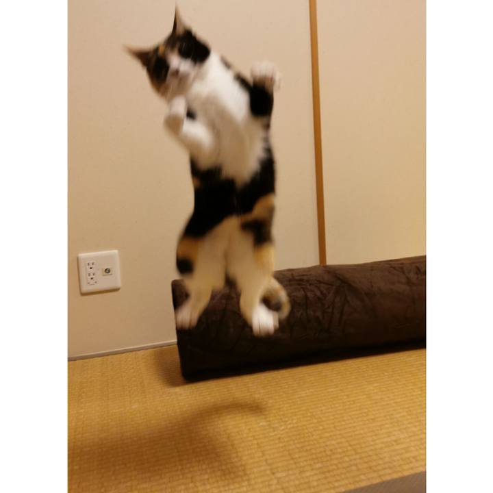 78e7c946 8c4c 4fb8 9111 ce6918e76d25 1617977874245