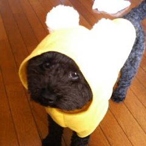 78e7de09 df9f 41a6 afe8 d83feae1ec77 1545485109031