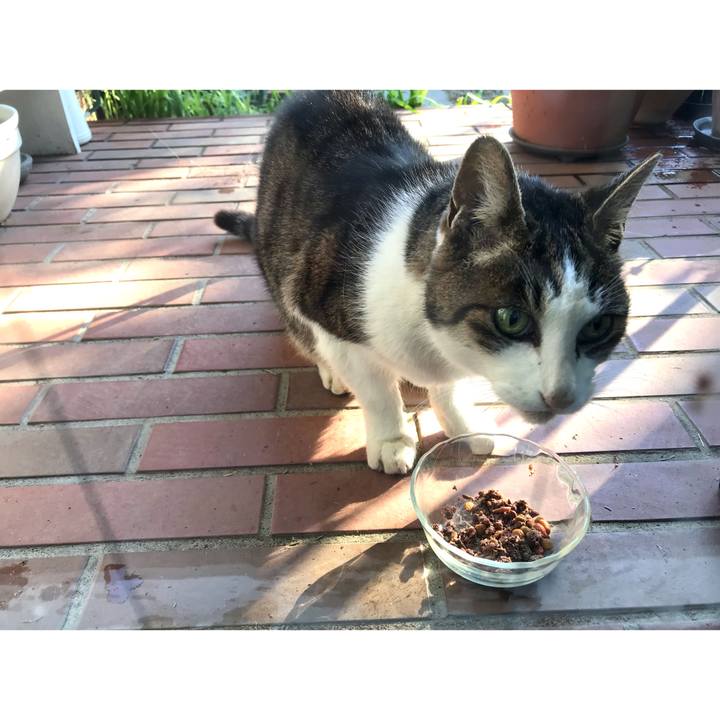 78e7ec1c 45c2 4412 8ac9 a9c0421f41f0 1639896560219