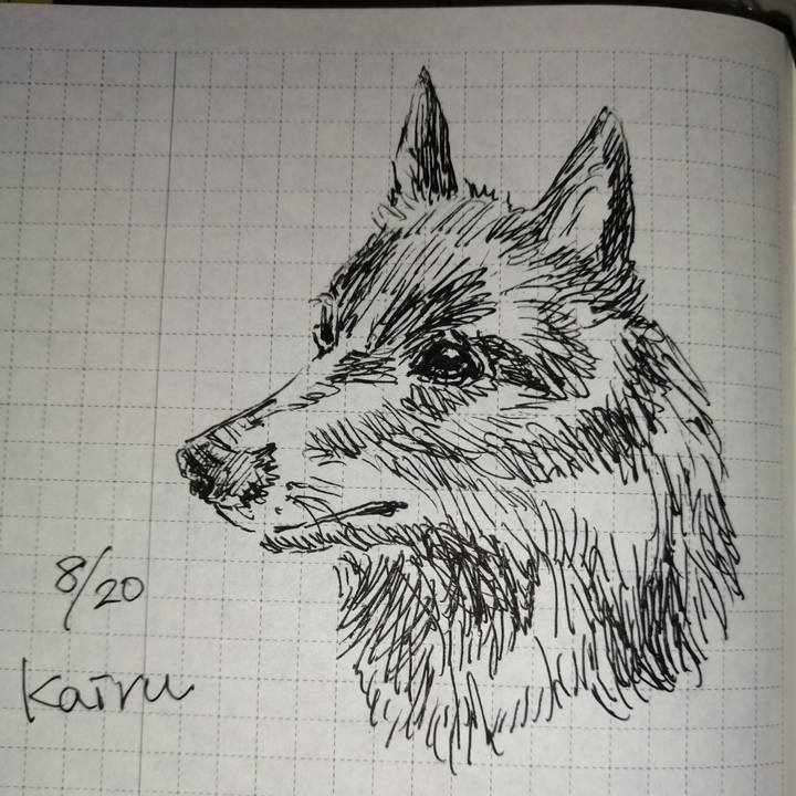 78e83376 0c3f 4c62 ad2d 568a1ef0cb66 1660950661472