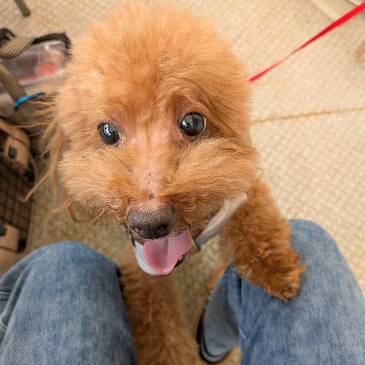 78e836a1 6854 4284 920d 1177ea7d2e20 1774004297484