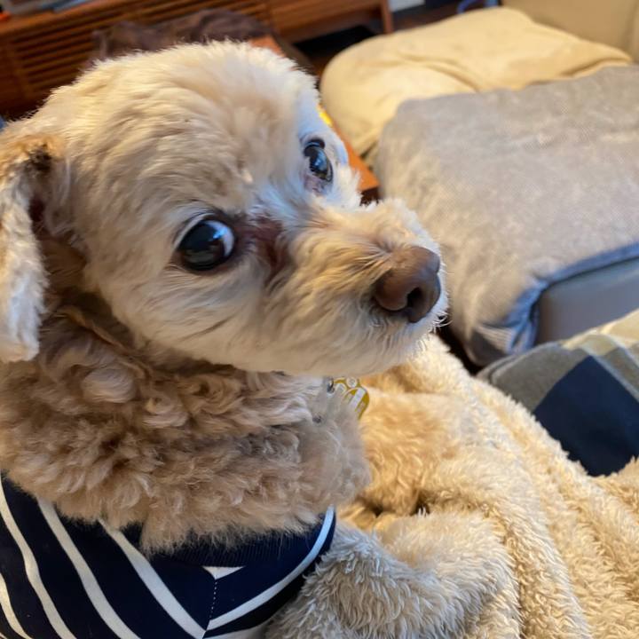 78e86d54 efbb 4cdb a9c7 e0d146374f14 1583640512973