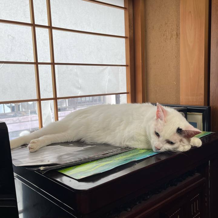 78e89c61 925e 4caf 9797 ca928d3ec6da 1757976566525