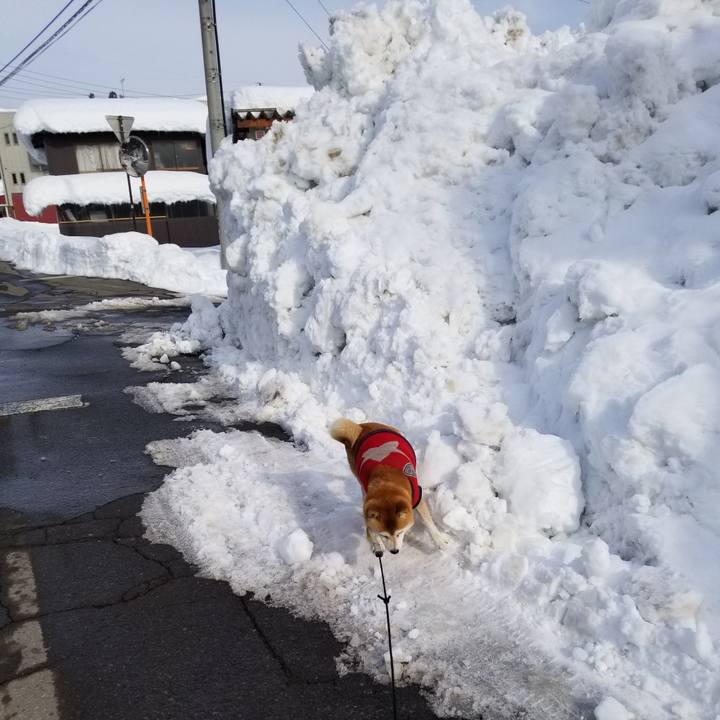 78e8abb6 8a39 4530 8638 2b7a9c1059dd 1608804881355