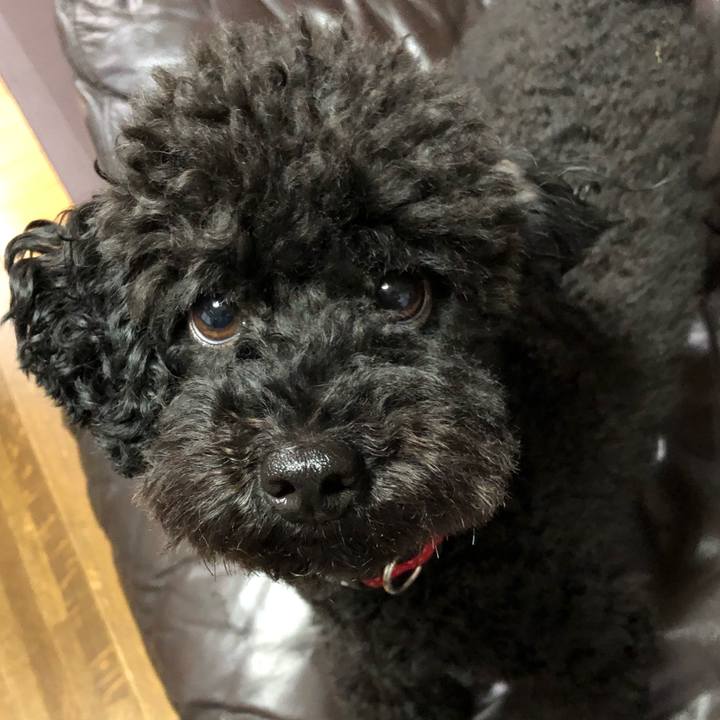 78e8b0a9 d713 41cf 9bbe 1e27c40eca56 1565339887888