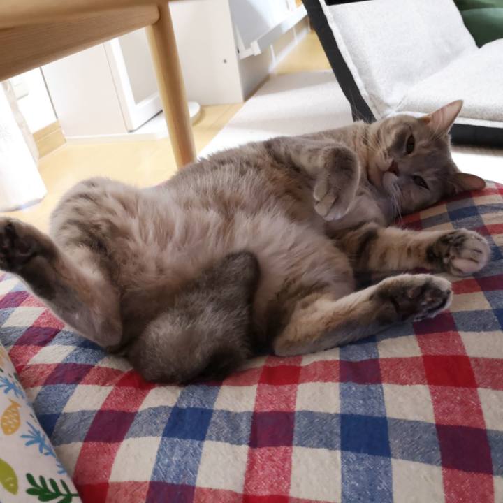 78e8b355 8af1 494a baa0 71bb6baf8153 1567606553869