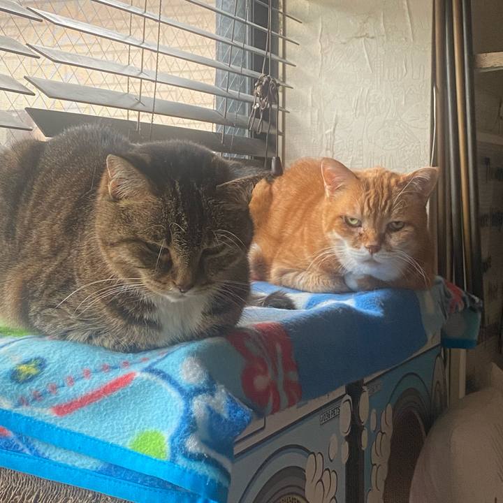 78e8cabf fb16 4979 9f87 ec9afd9f8814 1749713106292