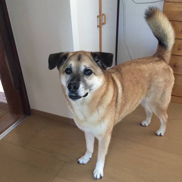 78e908a5 e79a 4b8b 9a3a aabc156994cd 1524131490011