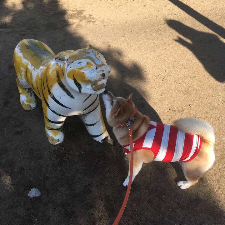 78e9208c 2f40 4d97 b544 d72acff4400d 1552036186946