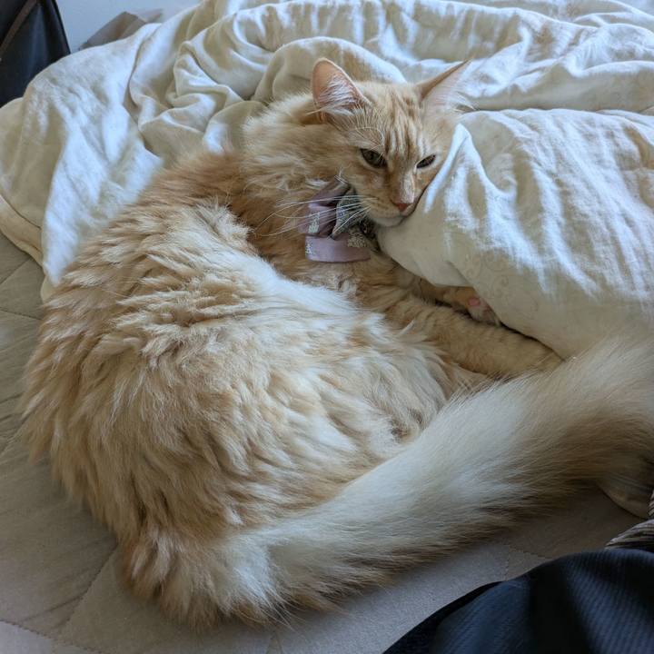 78e96192 25e8 4ff3 a721 6308fb68de67 1726031177121