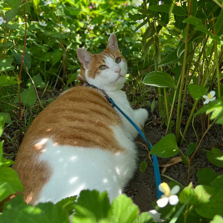 78e992e0 cef8 4927 8b81 9aba6352e5f8 1656248599374