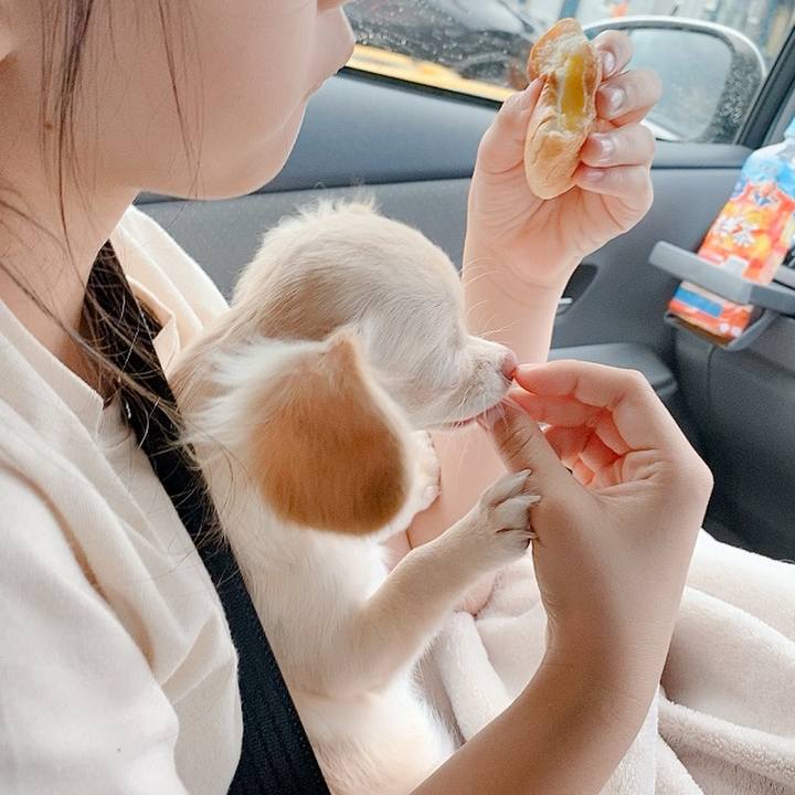 78e994c3 c255 4e58 8d4a 7fbd1d7cf6ed 1597208398901