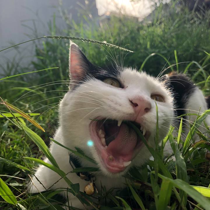 78e9ae3c 1d0e 4f4d ab6a ef267f32e5ba 1630845506231