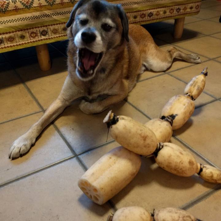 78e9bd36 20ad 4362 ac86 b067187618f6 1513753136890