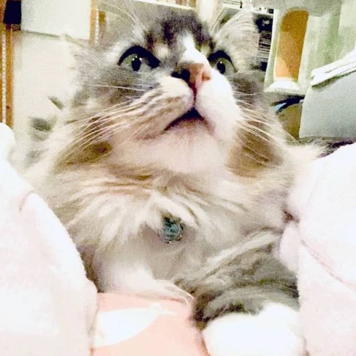 78e9c1c7 3a92 4a55 a276 41ce4c96811b 1759600395918