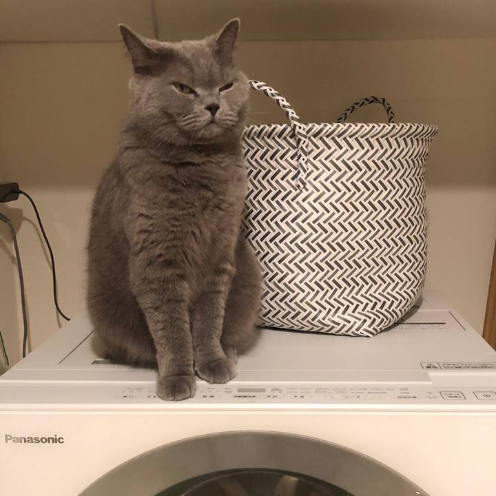 78ea53d9 dd62 4f52 928f 2e236cbe7c78 1526778025953