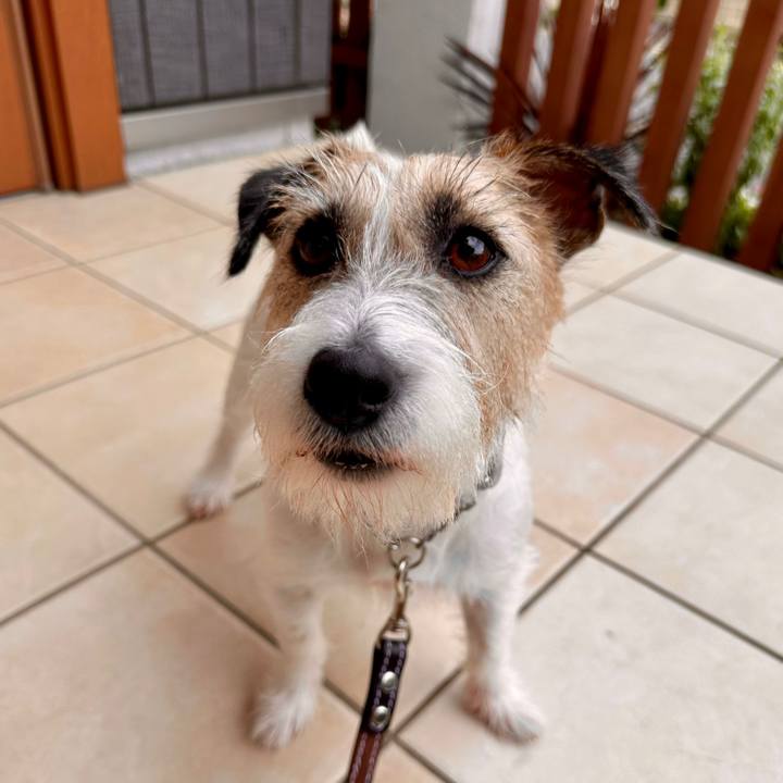 78ea54d8 5a1b 4acf bb8d 8c32e7f07c54 1721021443495