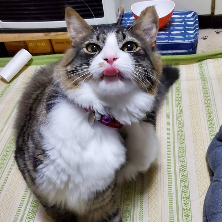 78ea6b4a 19cf 4377 9303 e301783b4824 1656813262501