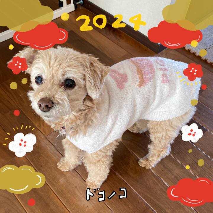 78eaa300 3436 4535 86aa 7da65548a5ae 1704368676590