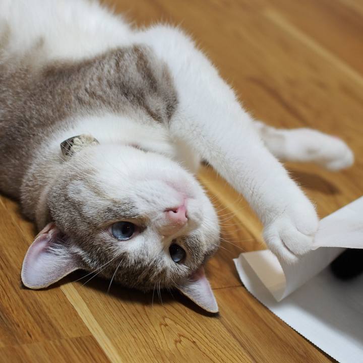 78eac89e fa94 49ab aa09 1f83d611dc6d 1567682670457