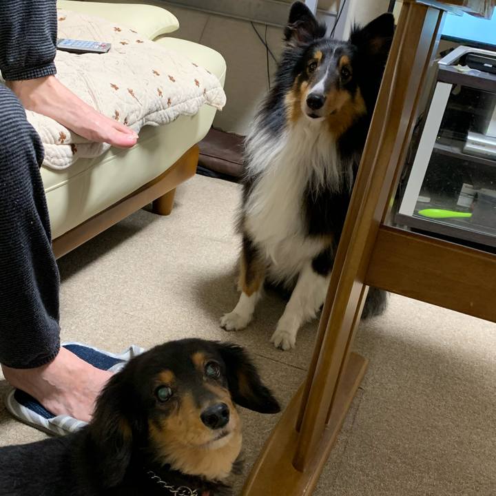 78eae0a4 47c7 49d5 a92b 5b9b1a0513a4 1588282599641