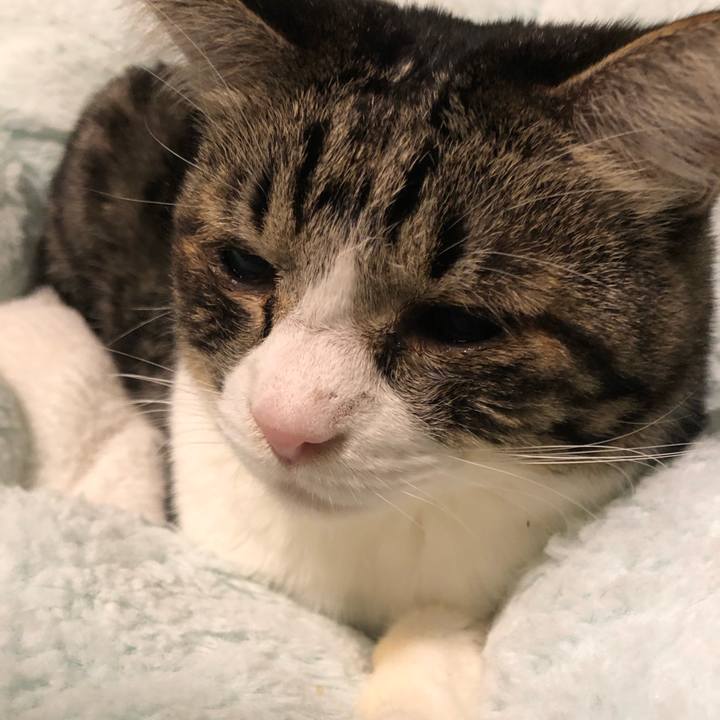 78eb3273 8530 49d9 8e32 5d83f8db23f7 1761139067580