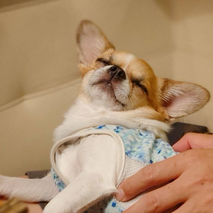 78eb38f7 b20a 4f46 842f e38066f1cfee 1629113598417