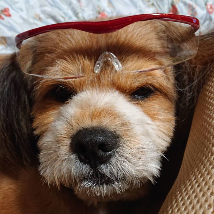 78eb9a22 5100 45f0 9dca 1f3771a926f0 1563882776375