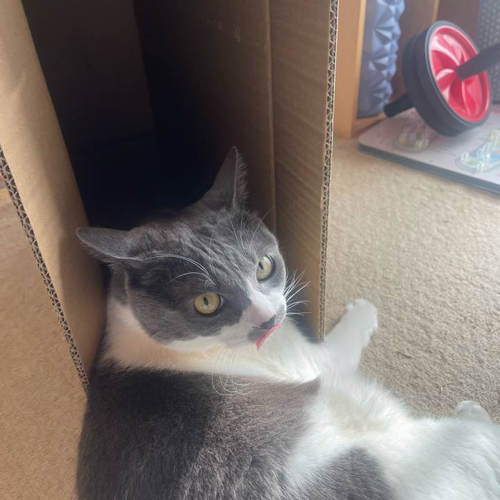 78eb9b03 5519 4975 9f8c 1f5f8c317afc 1735091789778