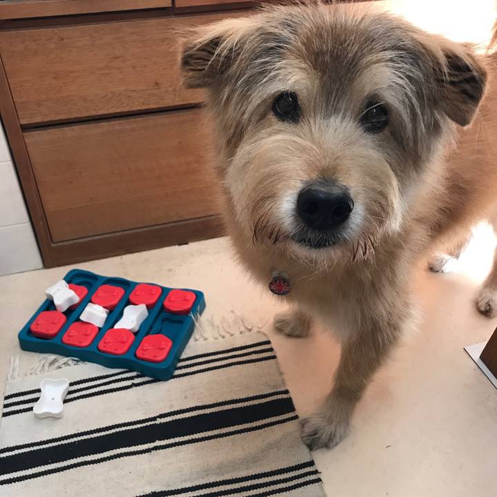 78ebc690 dfcf 4922 bf85 c324d8c3fbb1 1610065086383