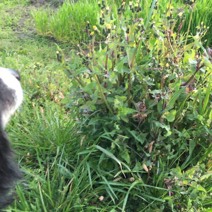 78ebd798 98be 44ee 93ce 088776f95037 1552518466346